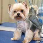 Foto_Milana_2015-02-11_86